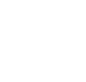 Logo One by One branco